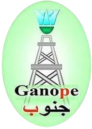جنوب جنوب